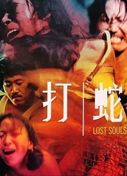 打蛇LostSouls1980BD1080PX264AAC国粤双语中字}