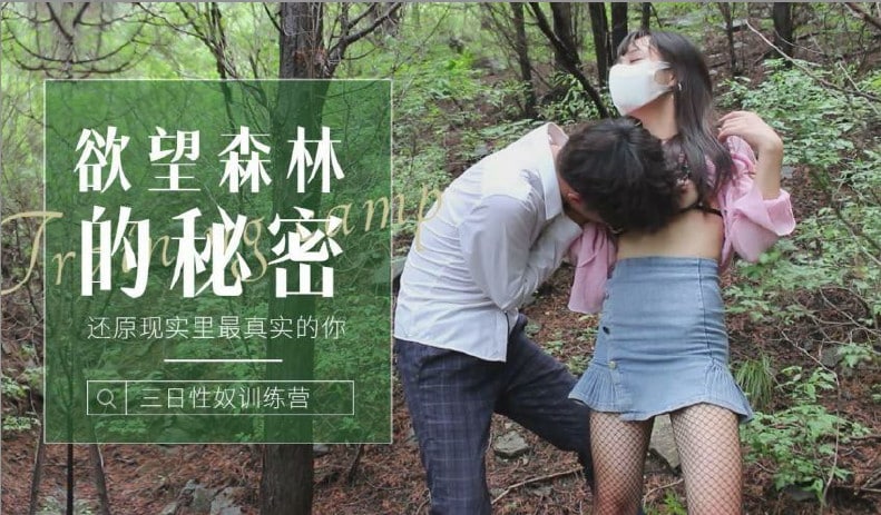森林的的秘密-还原现实里最真实的你.}
