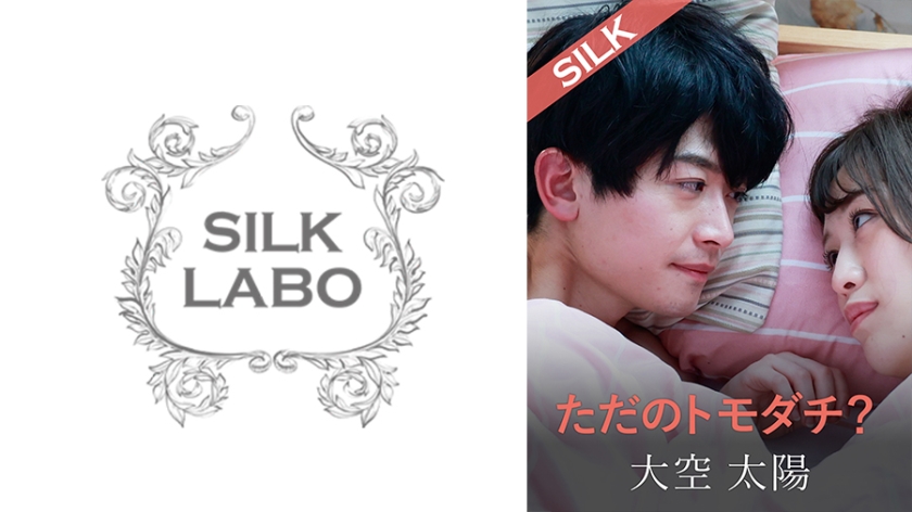 220SILKS-104 ただのトモダチ？}