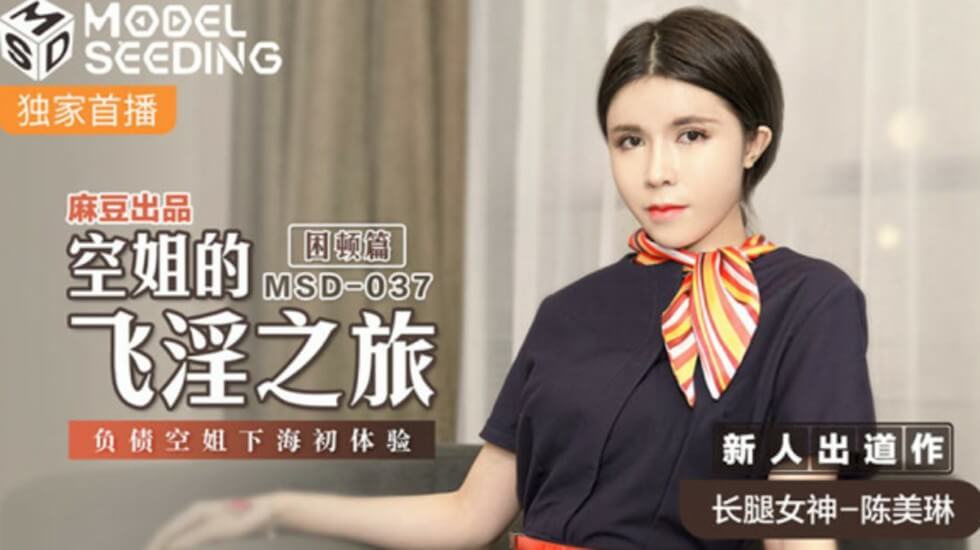 麻豆-空姐的飞淫之旅负债空姐下海初体验-陈美琳}