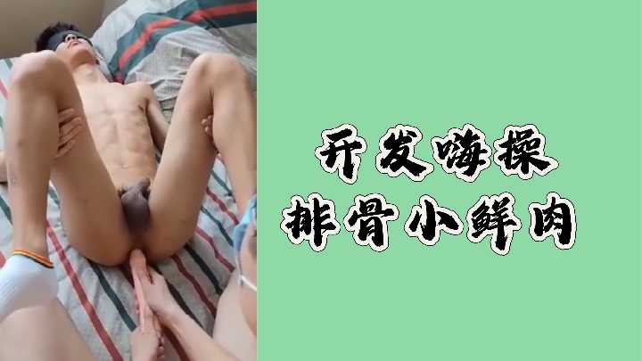 开发嗨操排骨小鲜肉}