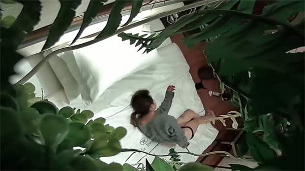 酒店摄像头甄选绝版绿植房}